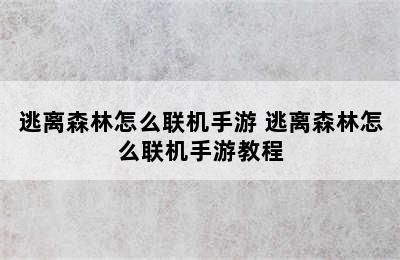 逃离森林怎么联机手游 逃离森林怎么联机手游教程